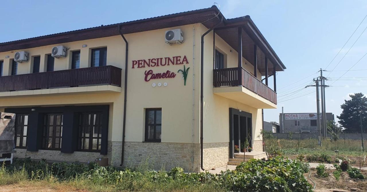 Pensiunea Camelia Baia 外观 照片