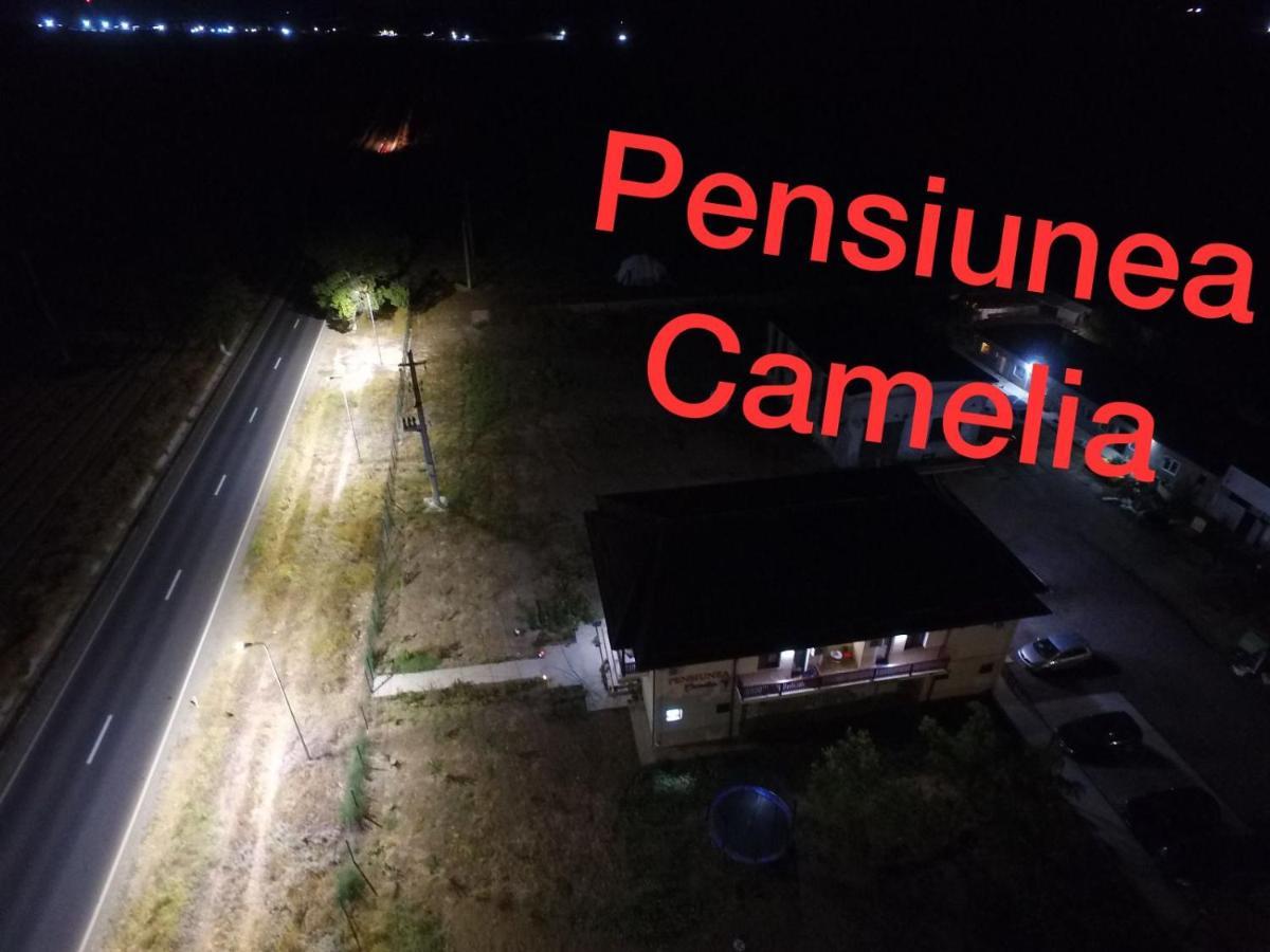 Pensiunea Camelia Baia 外观 照片